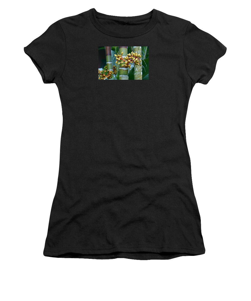 Bamboo Women's T-Shirt featuring the photograph Bamboo with Berries #1 by Venetia Featherstone-Witty