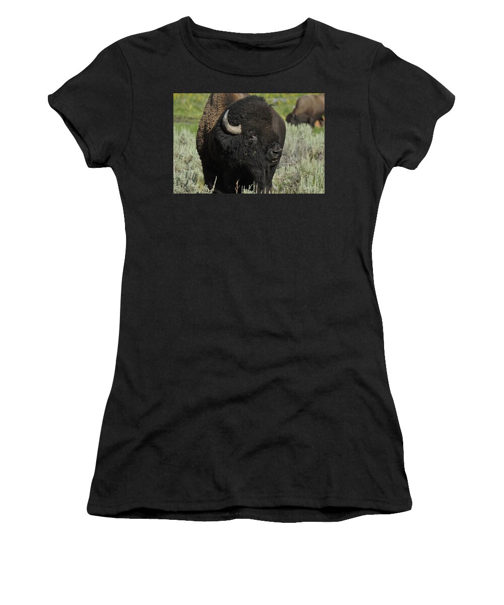 Bison Women's T-Shirt featuring the photograph Bison #1 by Frank Madia