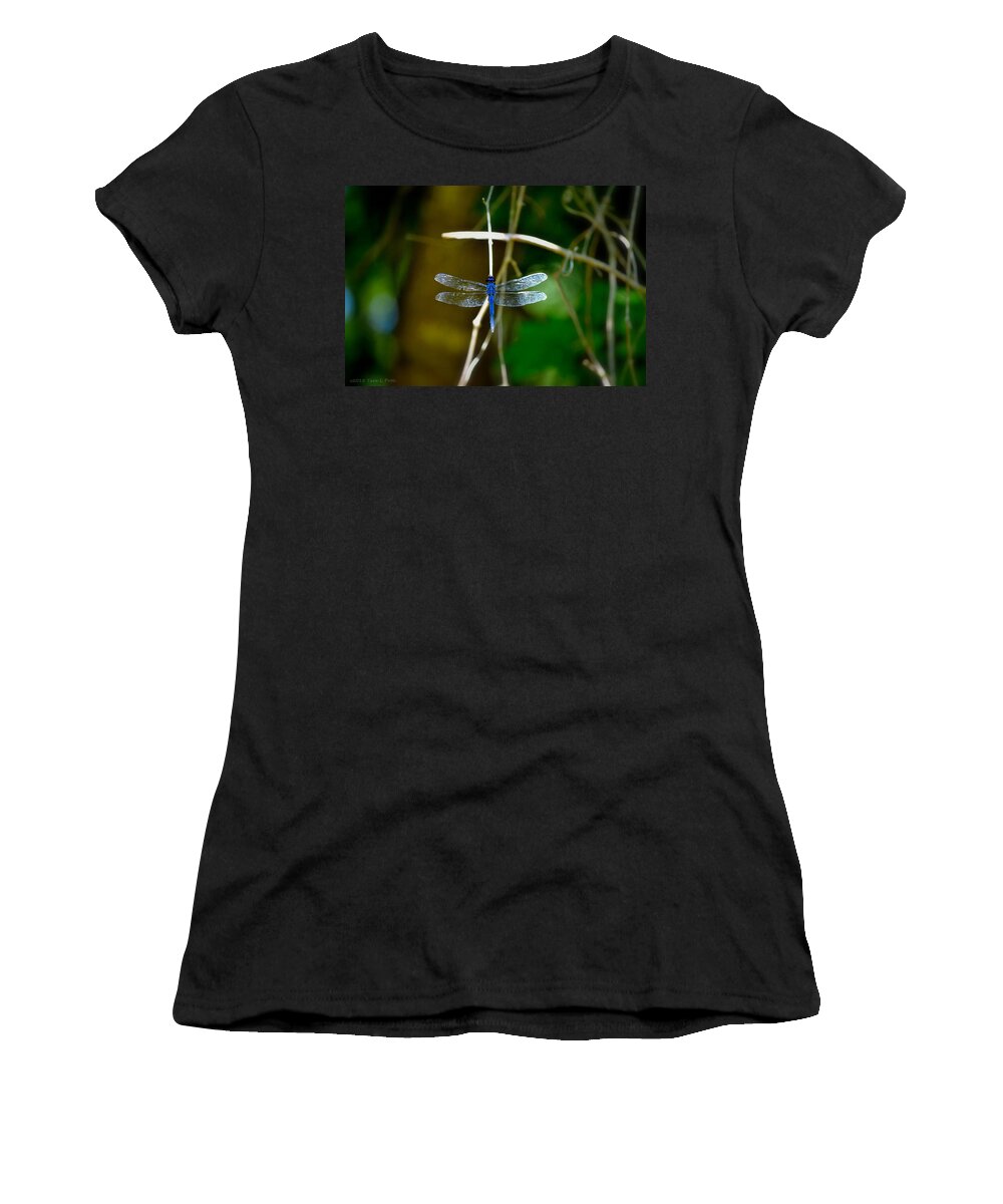 Dragonfly Women's T-Shirt featuring the photograph Dragonfly #1 by Tara Potts