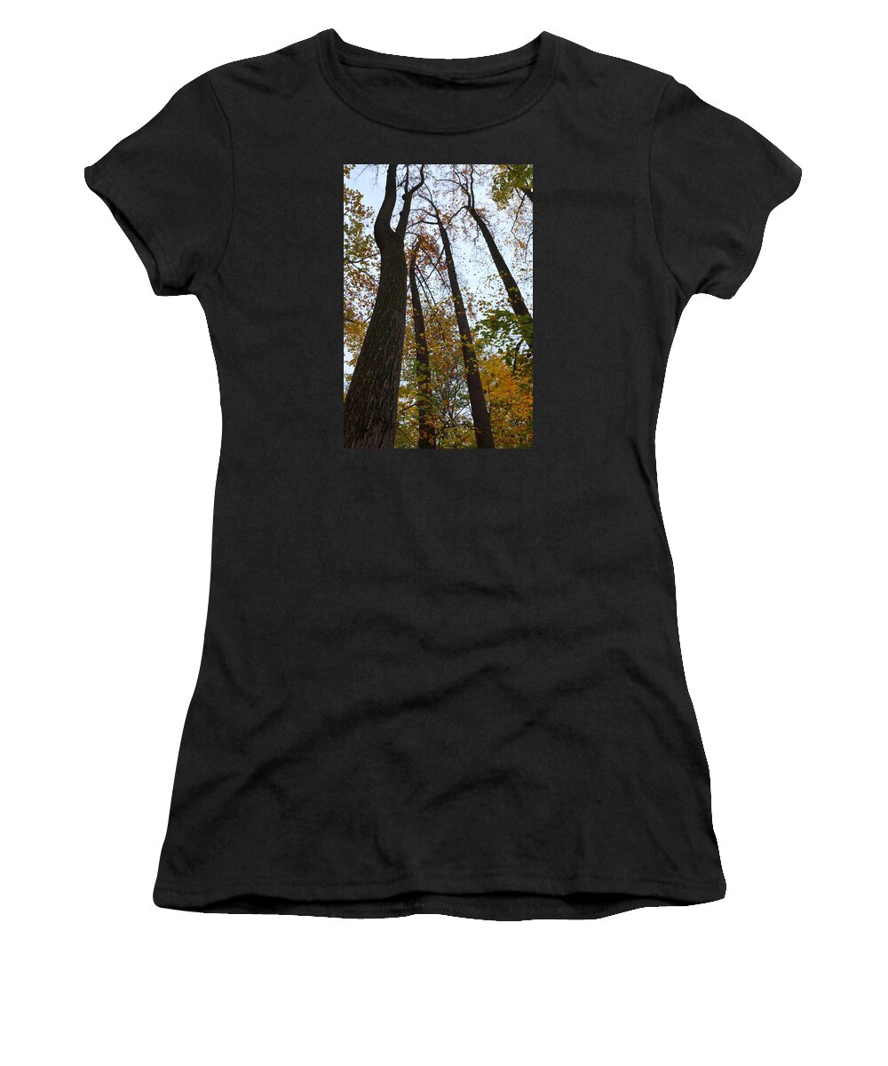 Fall Trees Women's T-Shirt featuring the photograph Leaves Lost II by Photographic Arts And Design Studio