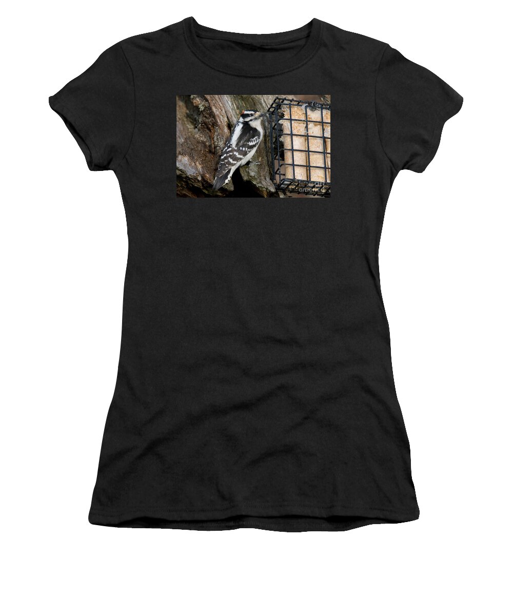 Hairy Woodpecker Women's T-Shirt featuring the photograph Male Hairy Woodpecker #1 by Linda Freshwaters Arndt