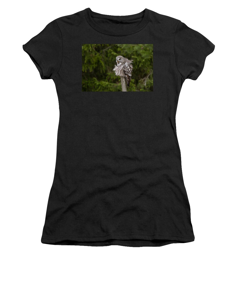 Great Gray Owl Women's T-Shirt featuring the photograph The Great Grey Owl by Torbjorn Swenelius