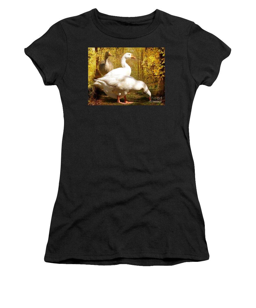 Three Women's T-Shirt featuring the photograph Three Geese a Grazing by Chris Armytage