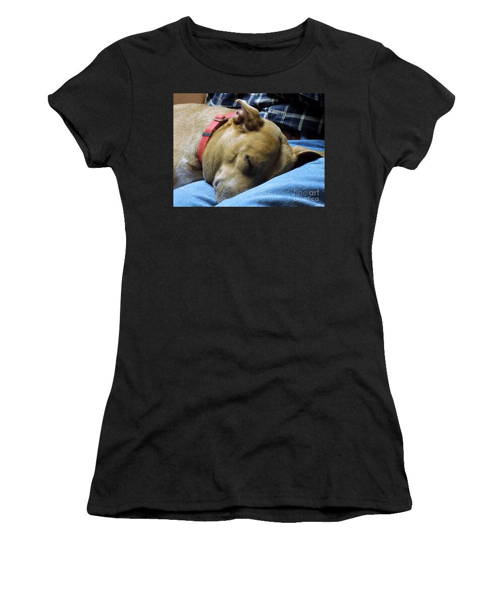Dog Women's T-Shirt featuring the photograph Watching TV #1 by Renee Trenholm