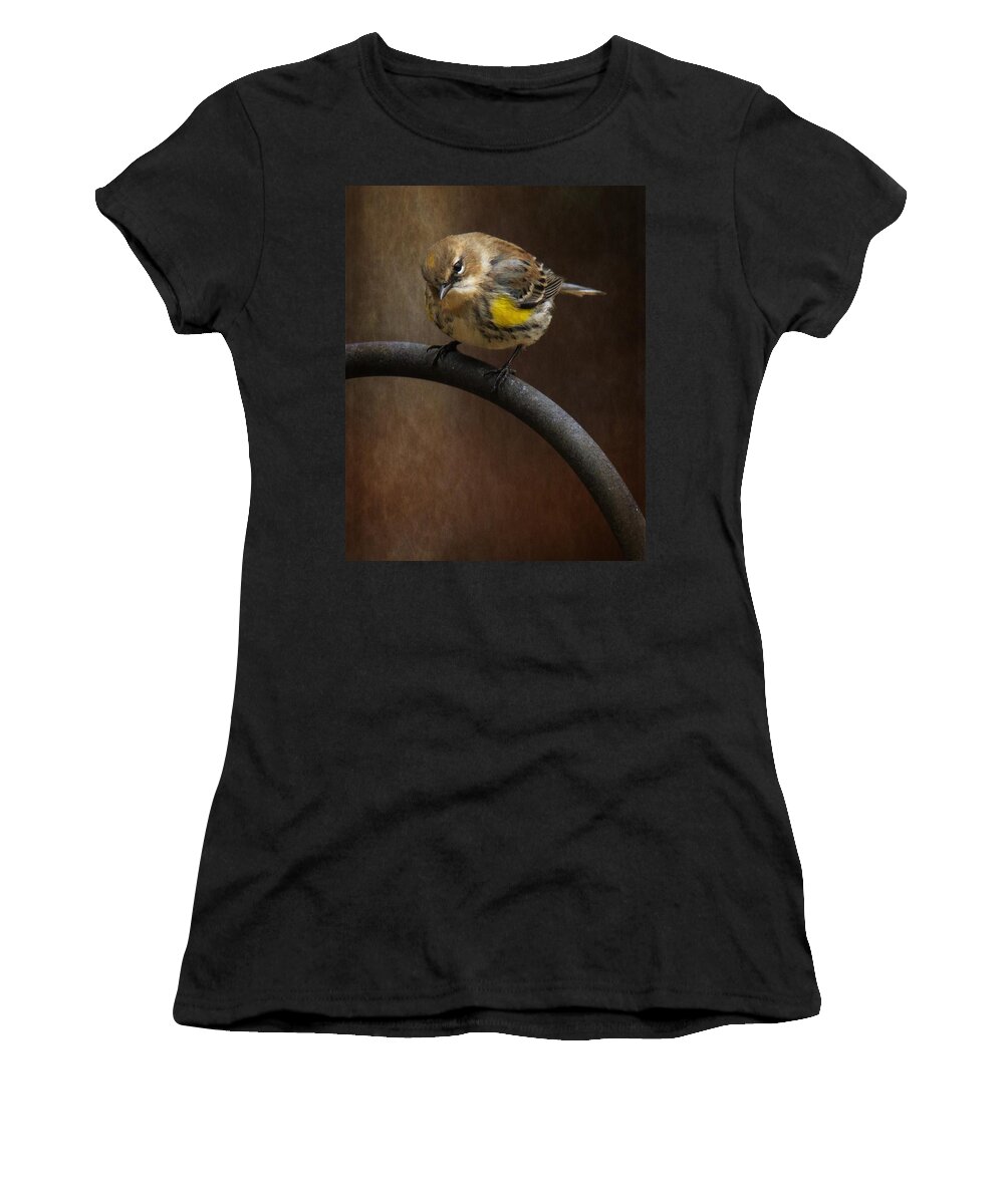 Yellow-rumped-warbler Women's T-Shirt featuring the photograph Yellow-Rumped-Warbler #1 by Robert L Jackson