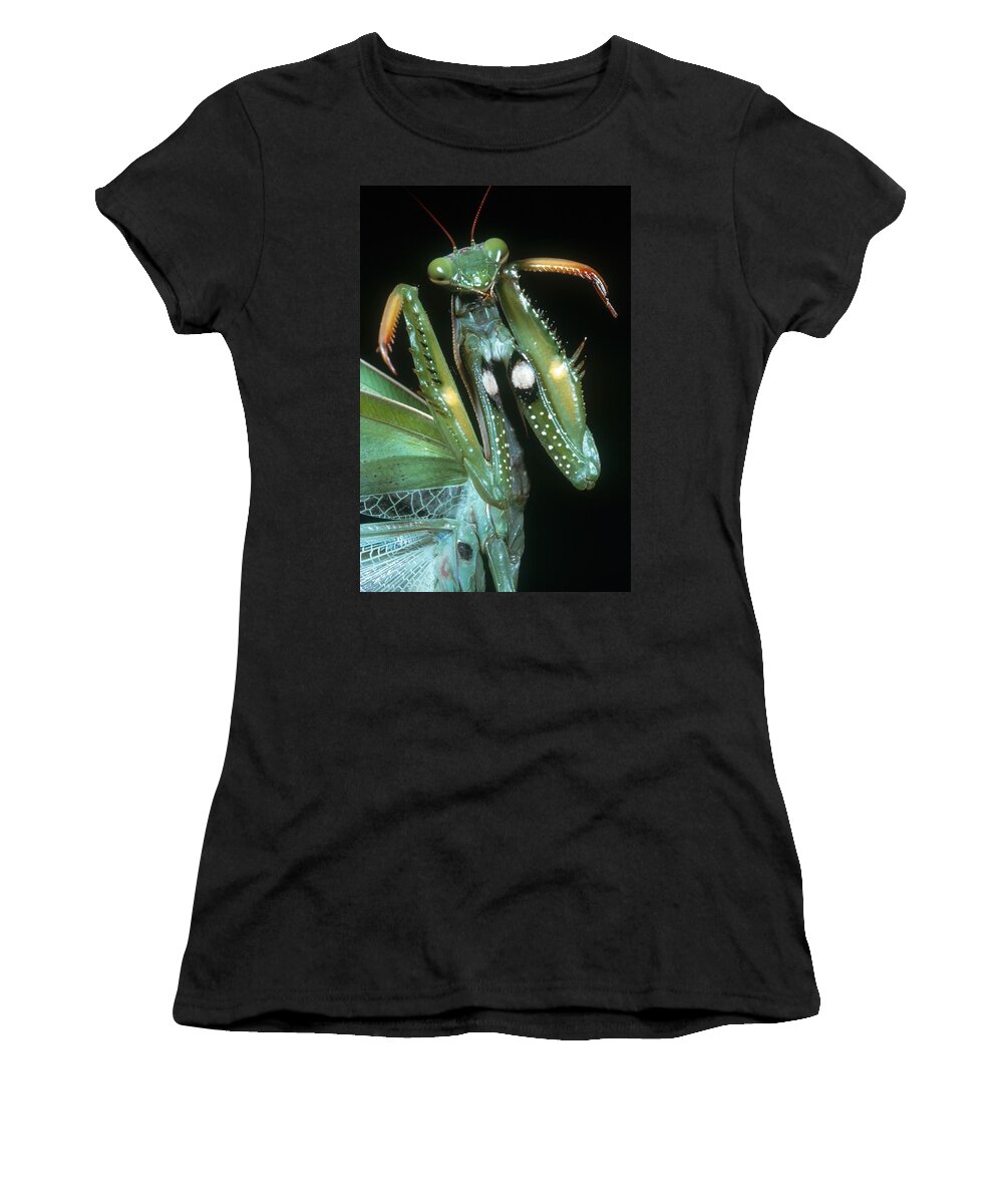 Animal Women's T-Shirt featuring the photograph Praying Mantis #10 by Perennou Nuridsany