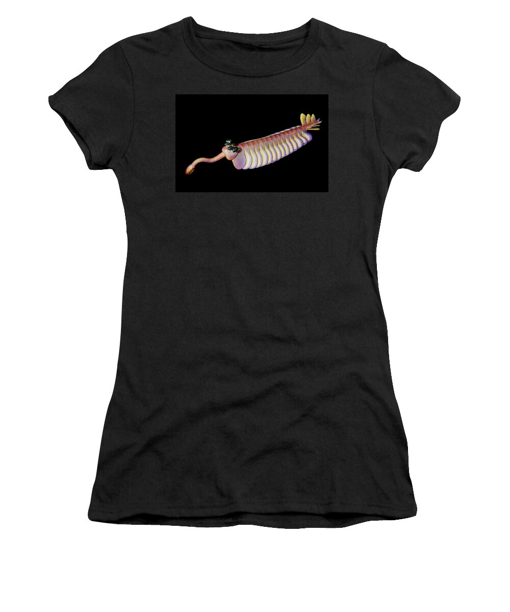 Illustration Women's T-Shirt featuring the painting Burgess Shale Animal #2 by Chase Studio