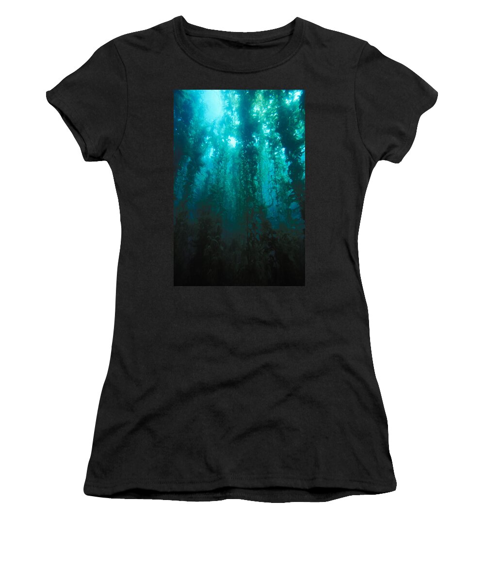Algae Women's T-Shirt featuring the photograph Forest Of Giant Kelp #2 by Greg Ochocki