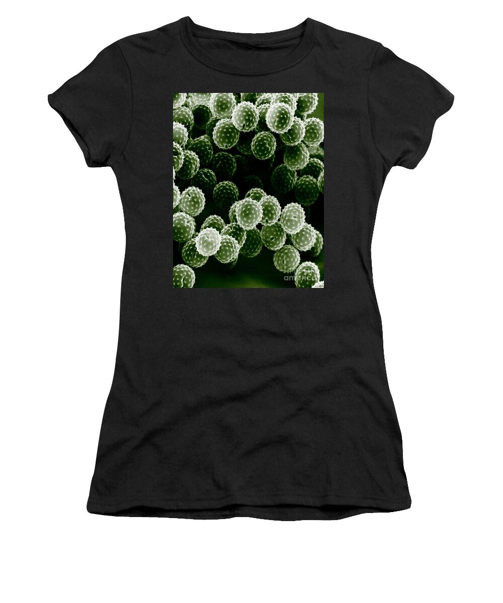 Allergen Women's T-Shirt featuring the photograph Ragweed Pollen Sem #2 by David M. Phillips / The Population Council