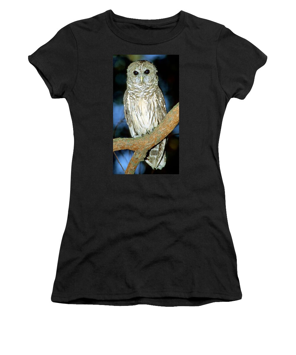 Barred Owl Women's T-Shirt featuring the photograph Barred Owl #24 by Millard H. Sharp