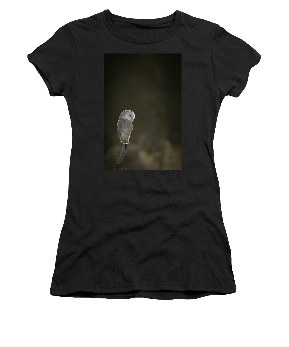 Alert Women's T-Shirt featuring the photograph Barn Owl #3 by Andy Astbury