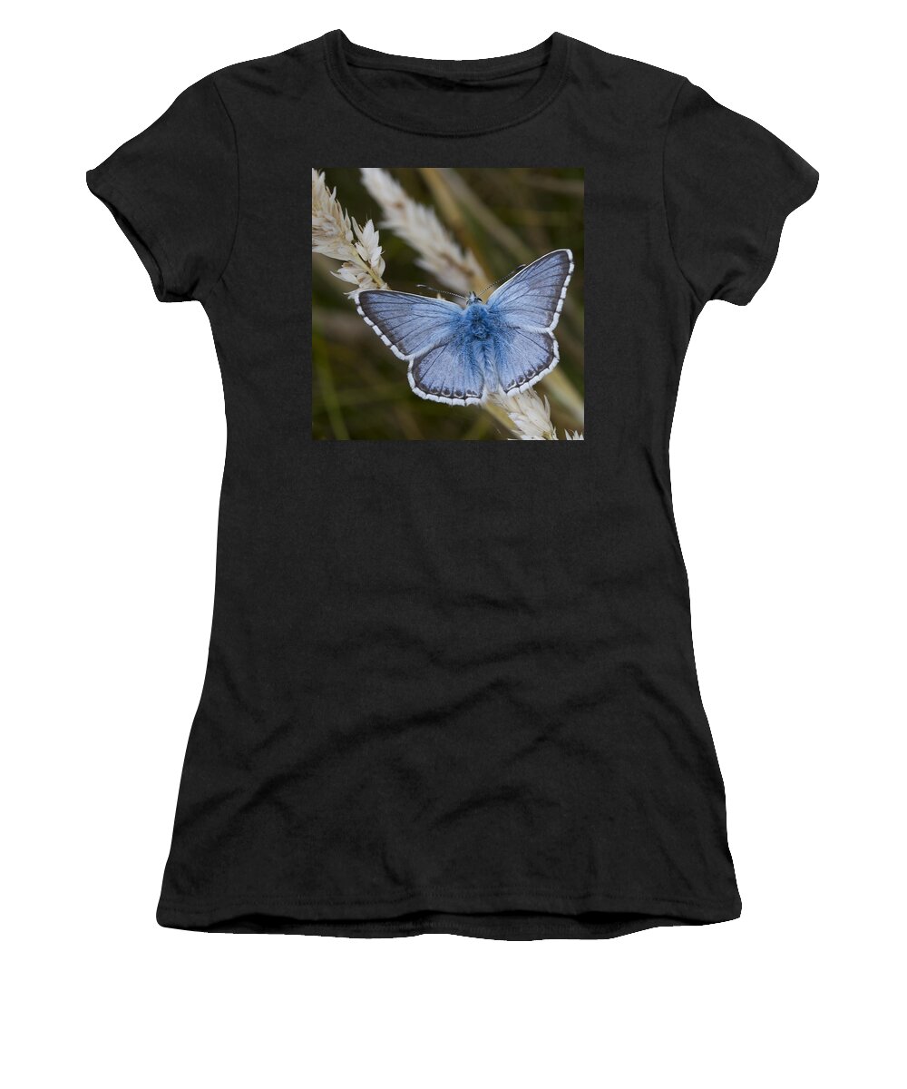 Common Women's T-Shirt featuring the photograph Common Blue Butterfly #2 by Shirley Mitchell