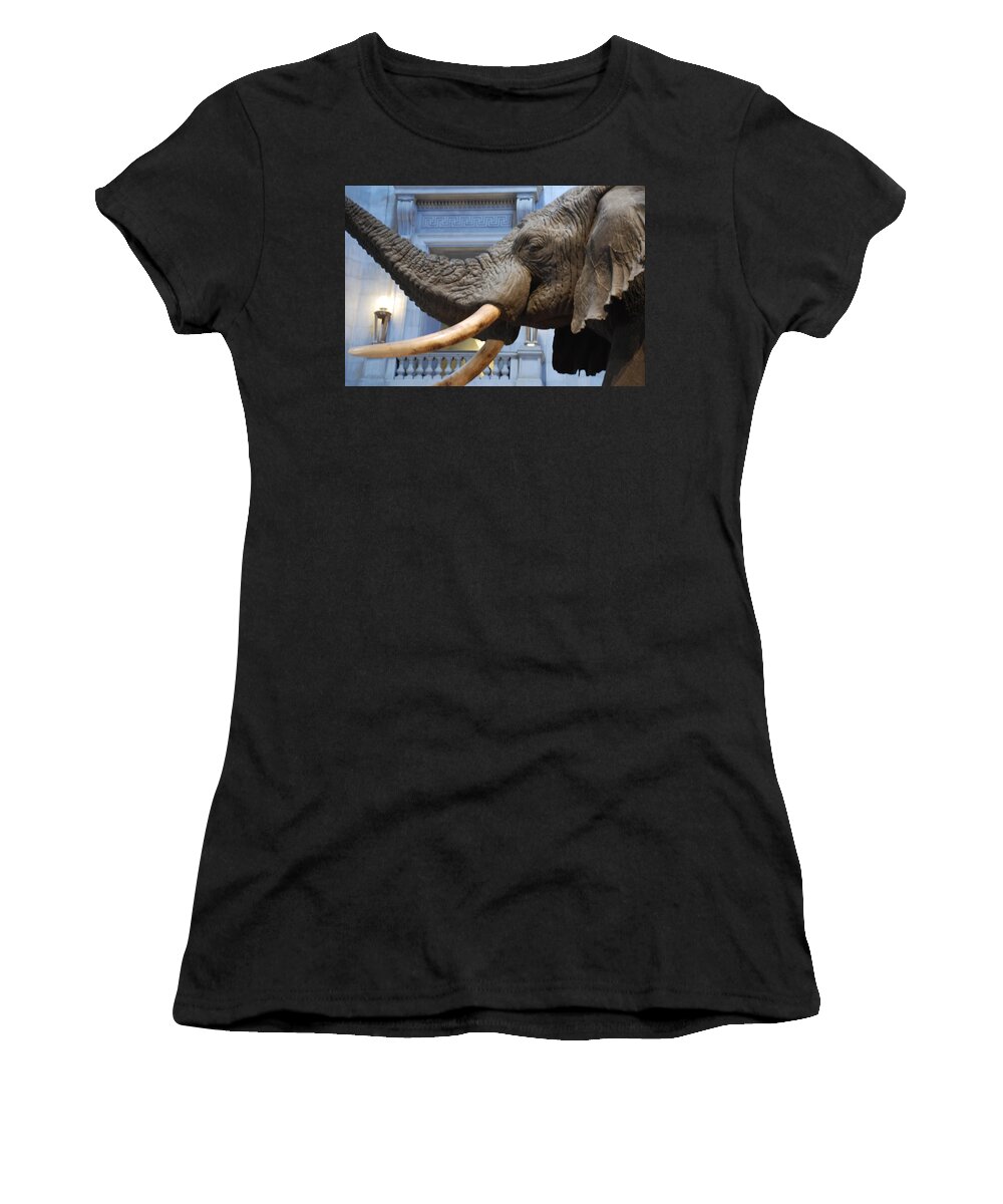 Bull Elephant Women's T-Shirt featuring the photograph Bull Elephant in Natural History Rotunda by Kenny Glover