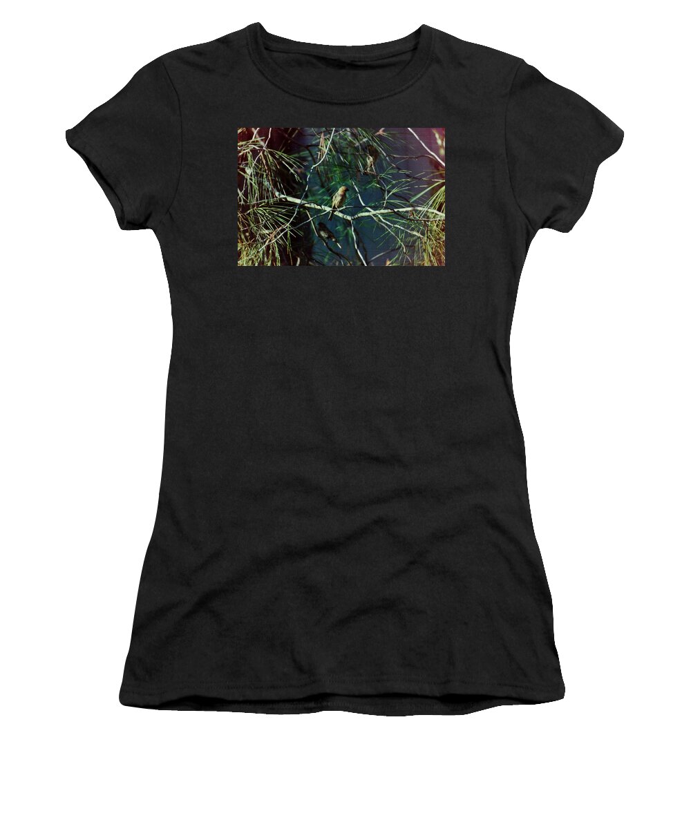 Birds Women's T-Shirt featuring the photograph Bird in tree #7 by Karl Rose