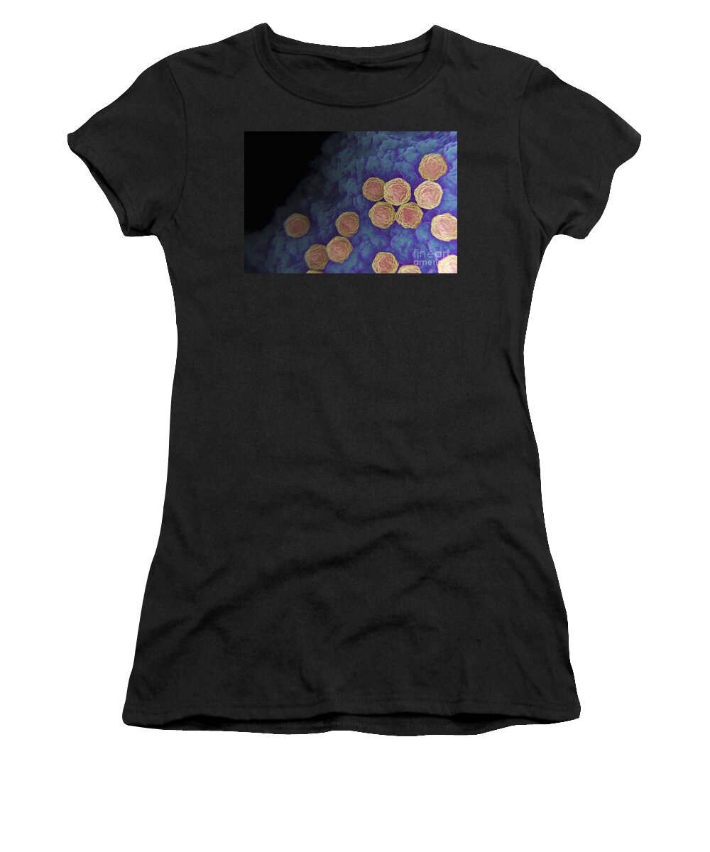Cells Women's T-Shirt featuring the photograph Rubella Virus #8 by Science Picture Co