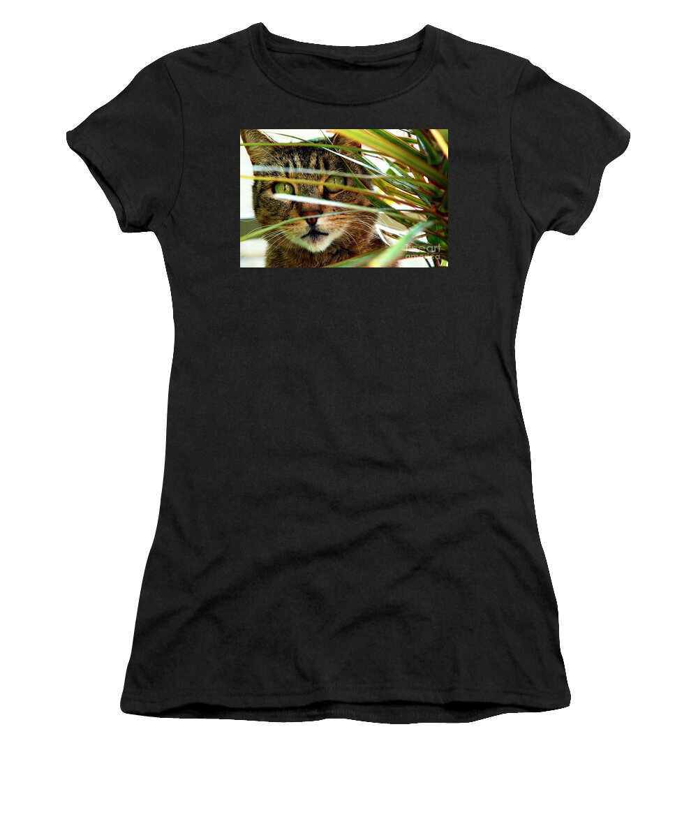 Kitten Women's T-Shirt featuring the photograph A cat hides behind a plant 3 by Micah May