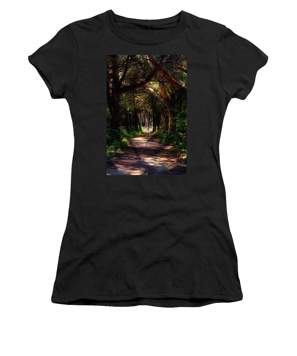 Forest Women's T-Shirt featuring the photograph A Forest Path -Dungeness Spit - Sequim Washington by Marie Jamieson