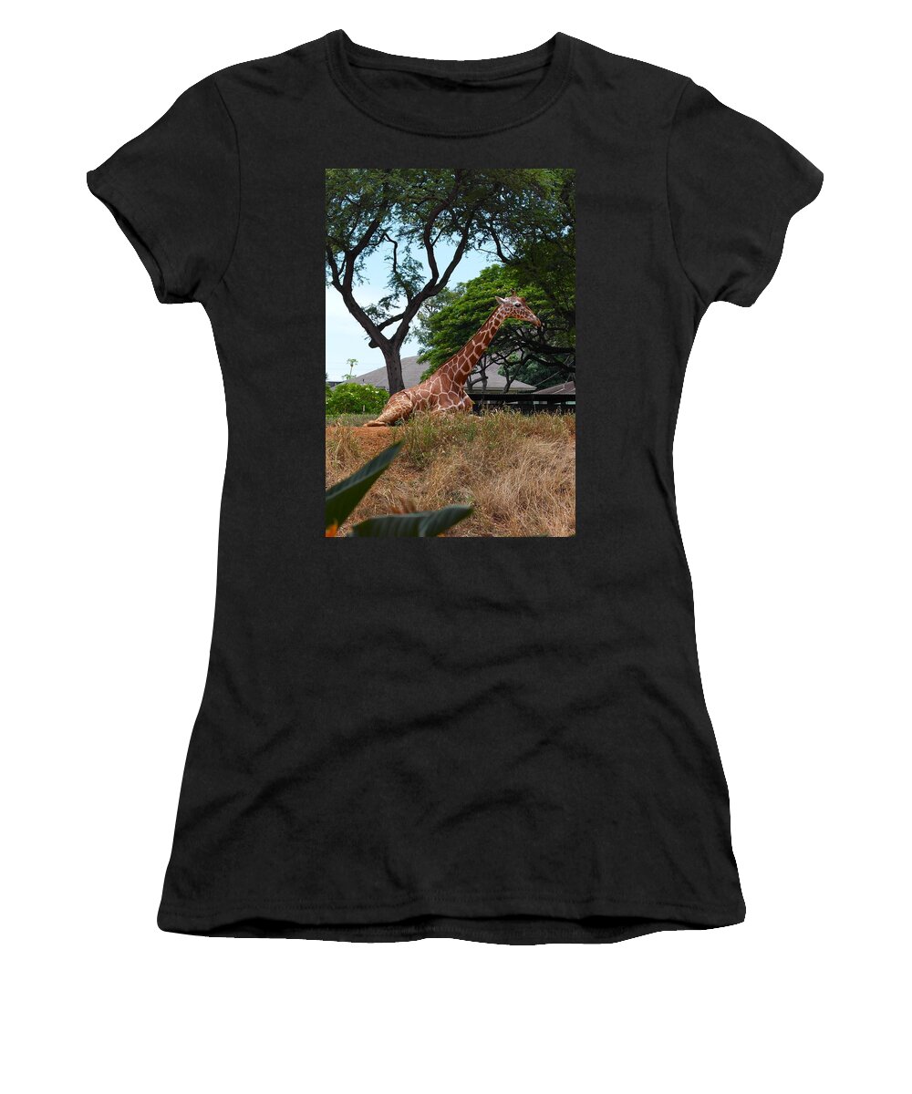 Giraffe Women's T-Shirt featuring the photograph A Giraffe Rests in Honolulu by Michele Myers