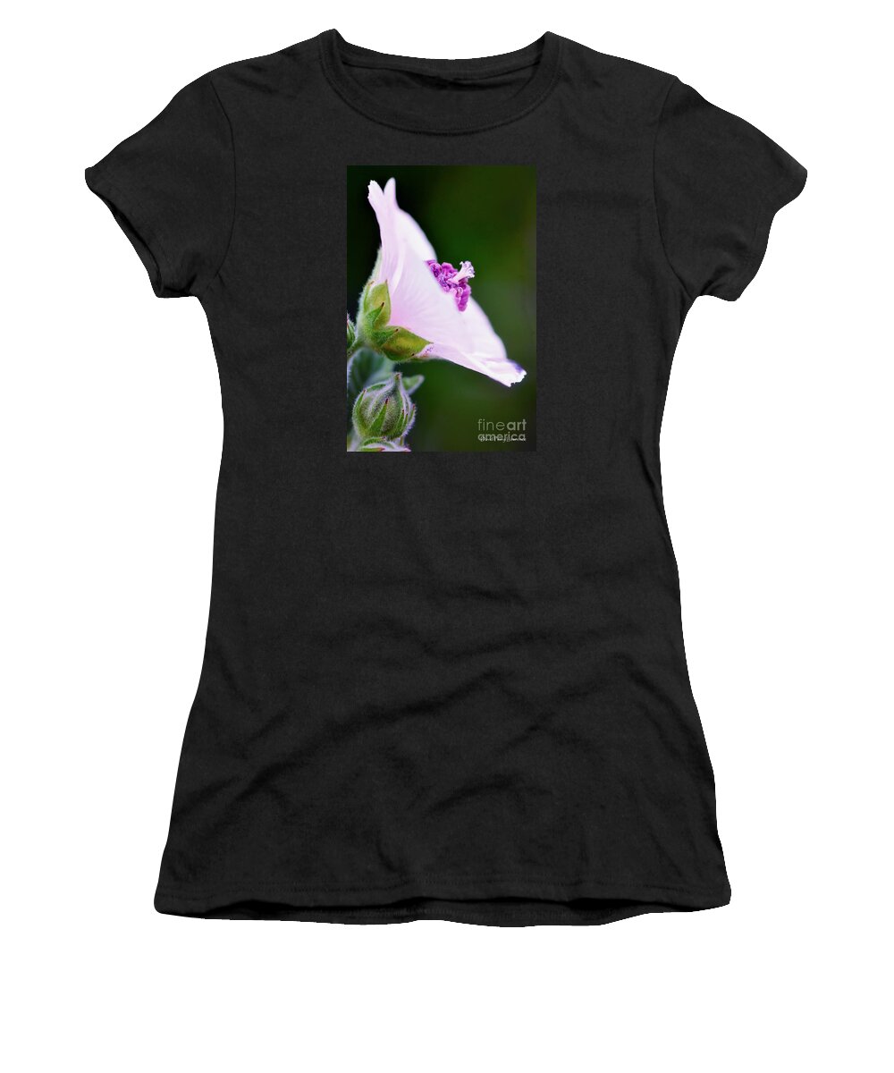 Flower Women's T-Shirt featuring the photograph A Most Unusual Wildflower by David Perry Lawrence