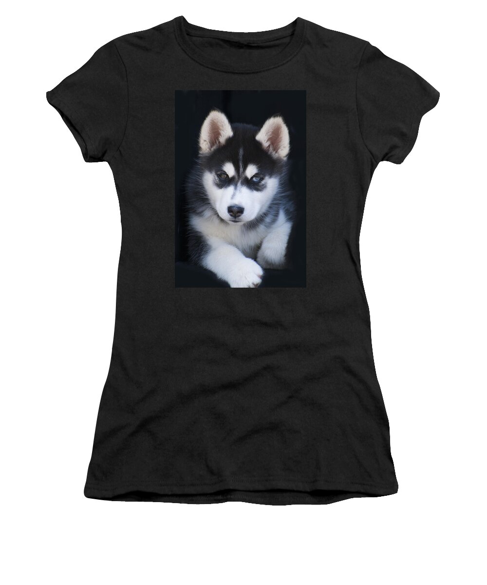 Siberian Women's T-Shirt featuring the photograph Adorable Siberian Husky Sled Dog Puppy by Kathy Clark