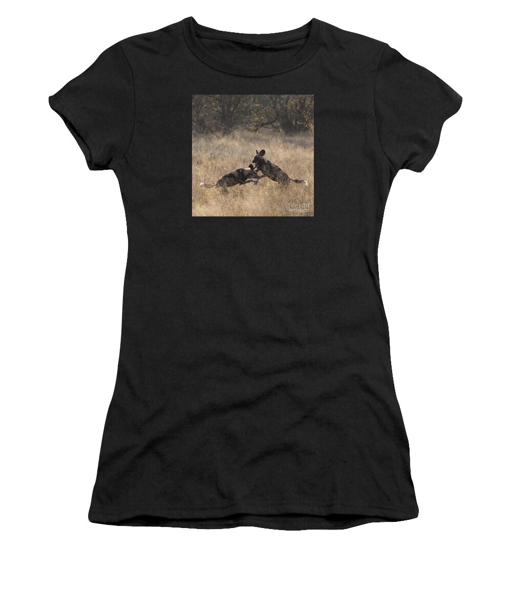 African Wild Dogs Women's T-Shirt featuring the photograph African Wild Dogs play-fighting by Liz Leyden