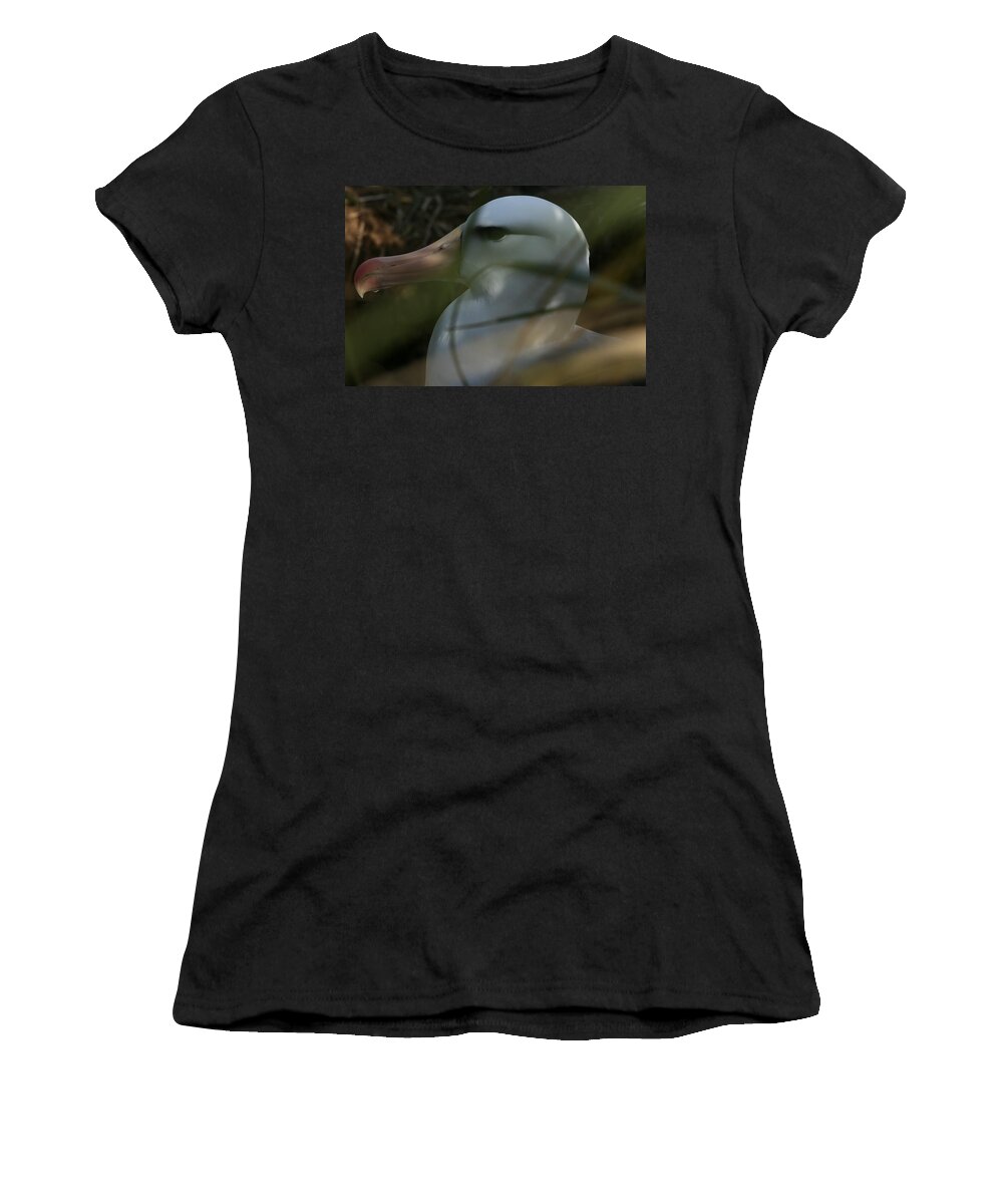 Black Browed Albatross On Nest Women's T-Shirt featuring the photograph Albatross by Amanda Stadther