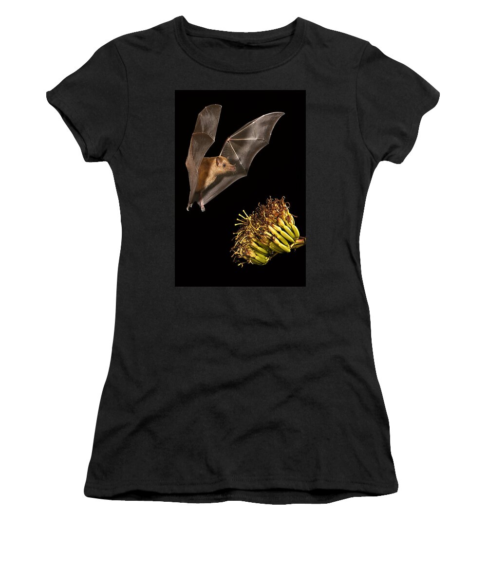 Bat Women's T-Shirt featuring the photograph Alf Visiting by Jack Milchanowski