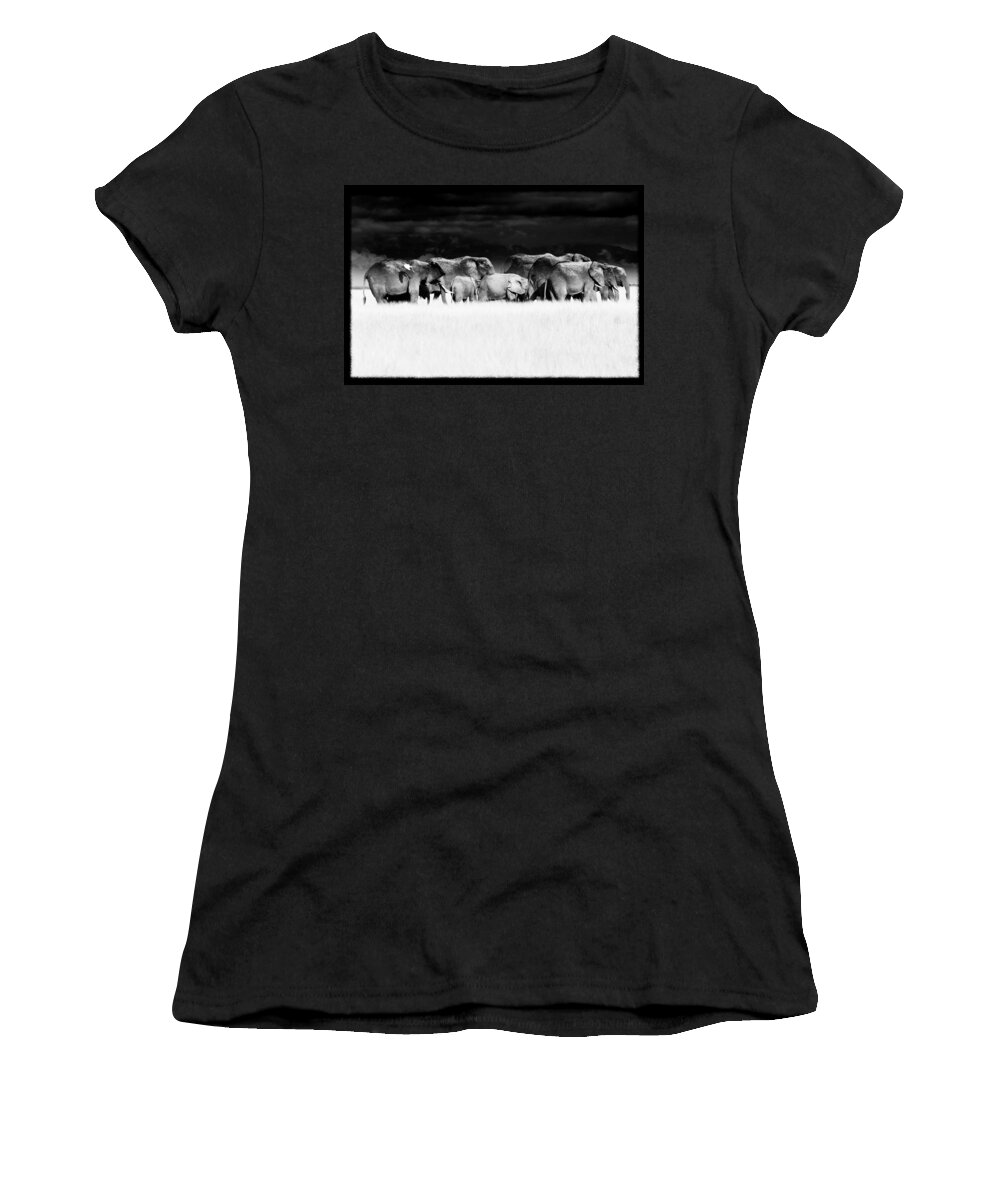 Africa Women's T-Shirt featuring the photograph Amboseli herd with egret by Mike Gaudaur