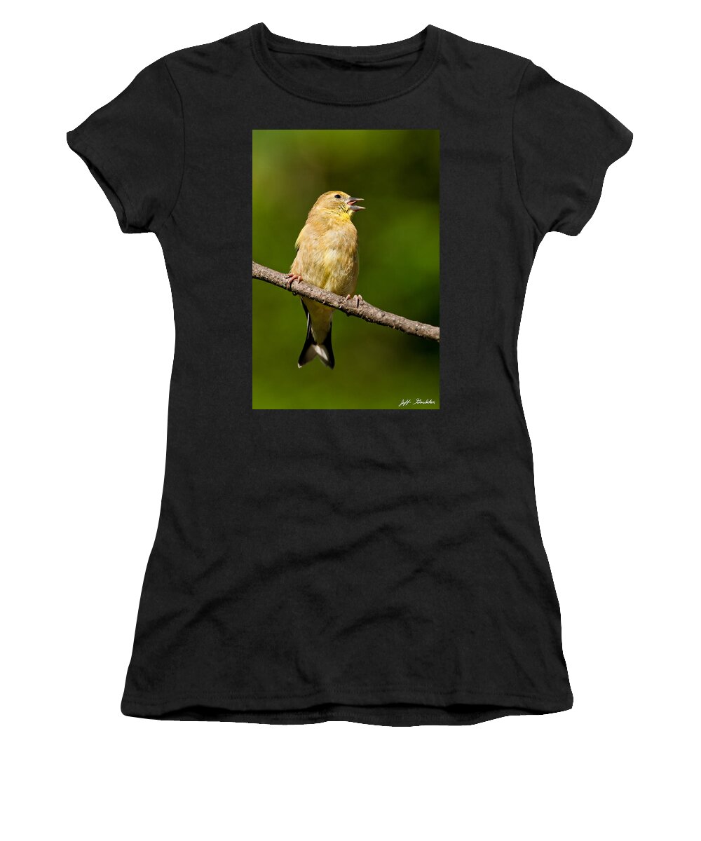 American Goldfinch Women's T-Shirt featuring the photograph American Goldfinch Singing by Jeff Goulden