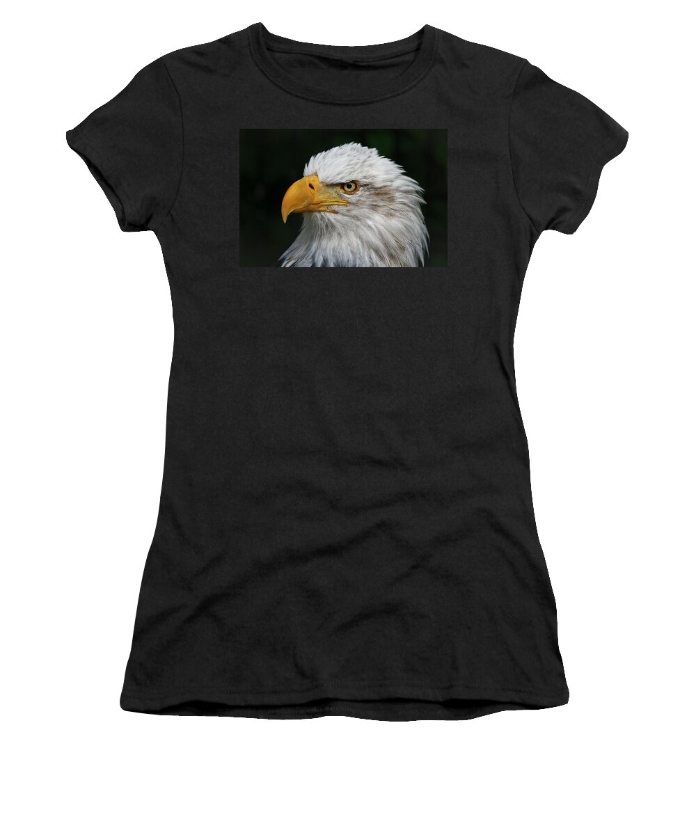 An Eagle's Portrait Women's T-Shirt featuring the photograph An Eagle's Portrait by Wes and Dotty Weber