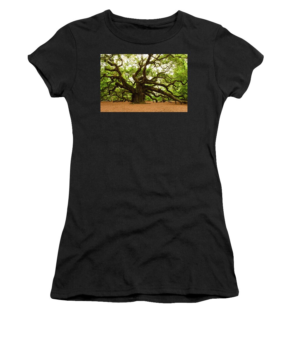 Tree Women's T-Shirt featuring the photograph Angel Oak Tree 2009 by Louis Dallara