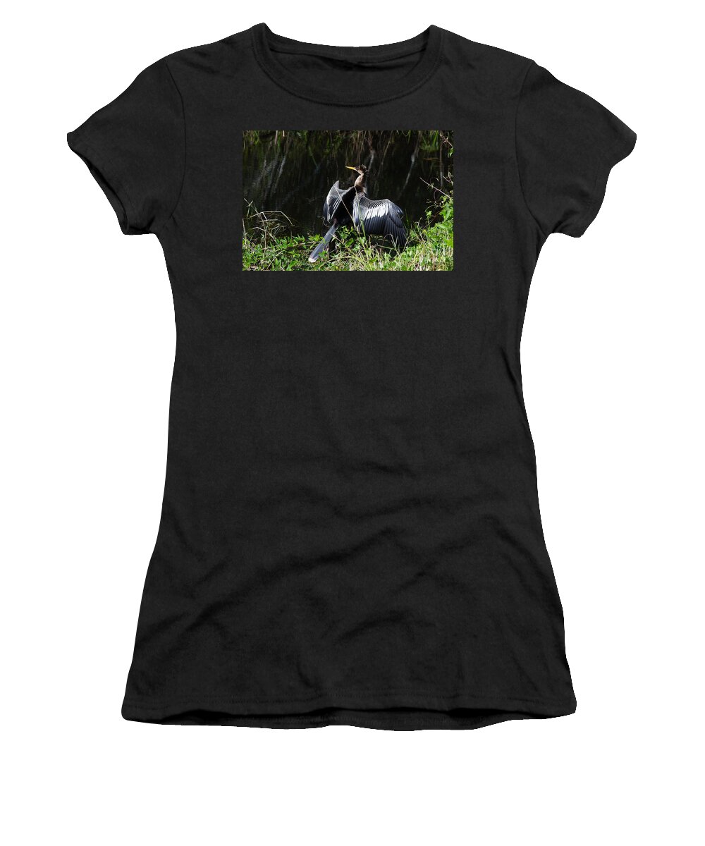 Everglades Women's T-Shirt featuring the photograph Anhinga resting by Agnes Caruso