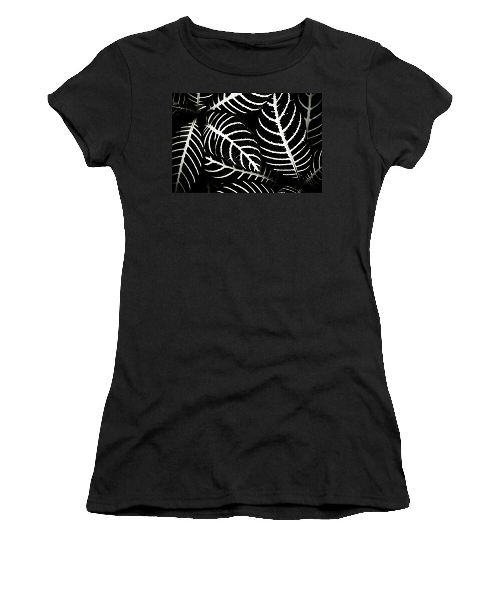 Aphelandra Women's T-Shirt featuring the photograph Aphelandra Dania Abstract by Marilyn Hunt
