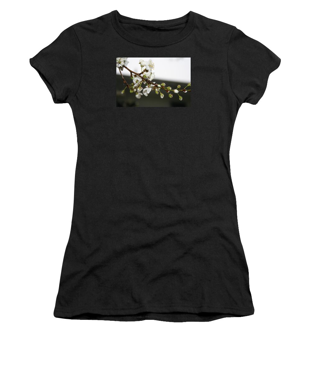 Apple Blossom Women's T-Shirt featuring the photograph Apple Blossom Buds by Valerie Collins