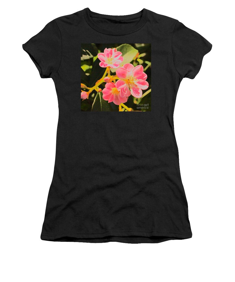 Apple Women's T-Shirt featuring the photograph Apple Blossoms by Cassandra Buckley