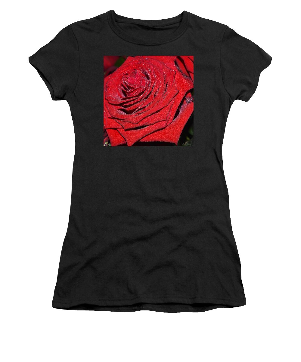 Rose Women's T-Shirt featuring the photograph Approach by Felicia Tica