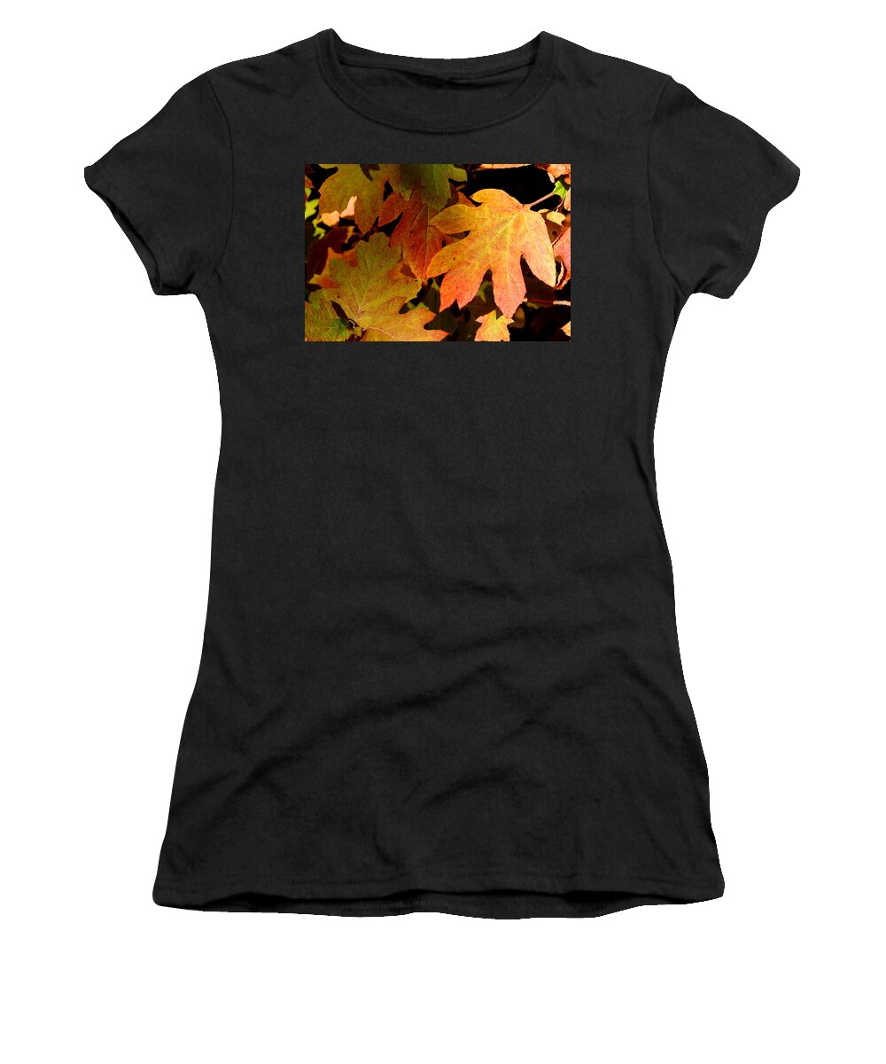 Autumn Women's T-Shirt featuring the photograph Autumn Hues by Living Color Photography Lorraine Lynch