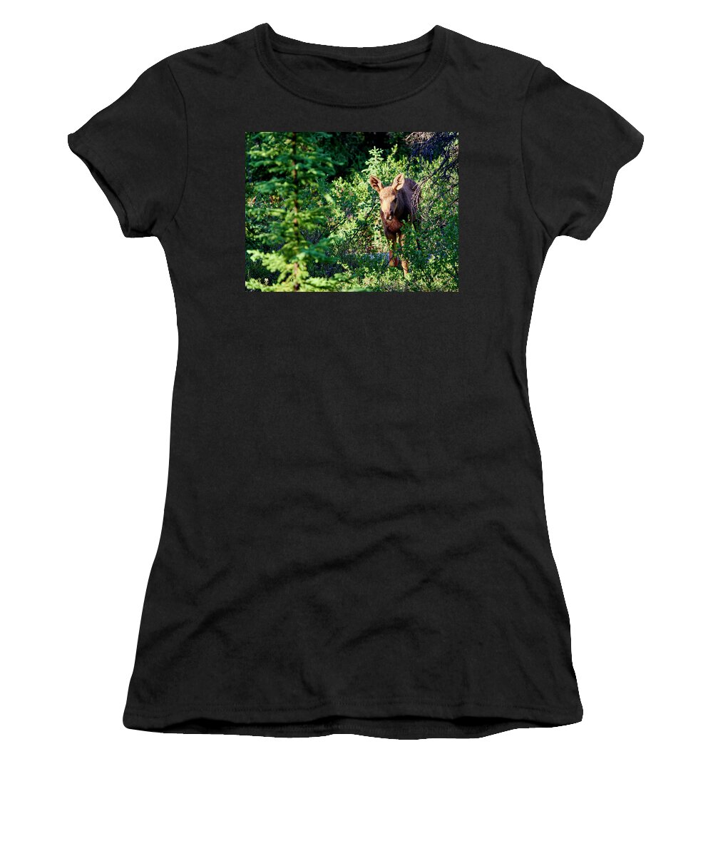 Blueberry Women's T-Shirt featuring the photograph Baby Moose In Denali 2 by Michelle Theall
