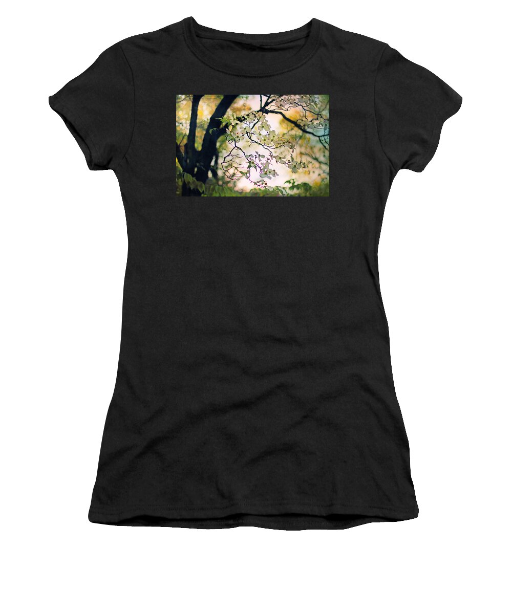 Dogwood Women's T-Shirt featuring the photograph Backlit Blossom by Jessica Jenney