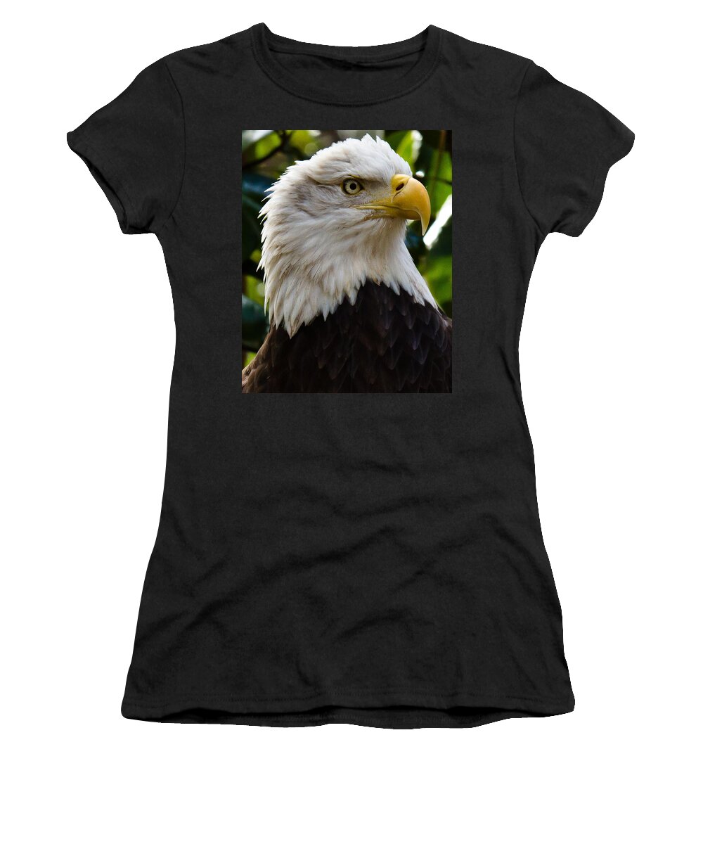 Bald Eagle Women's T-Shirt featuring the photograph Bald Is Beautiful by Robert L Jackson