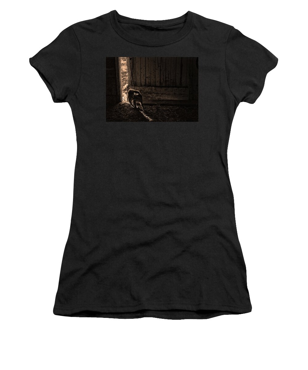 Cats Women's T-Shirt featuring the photograph Barn Cat by Theresa Tahara