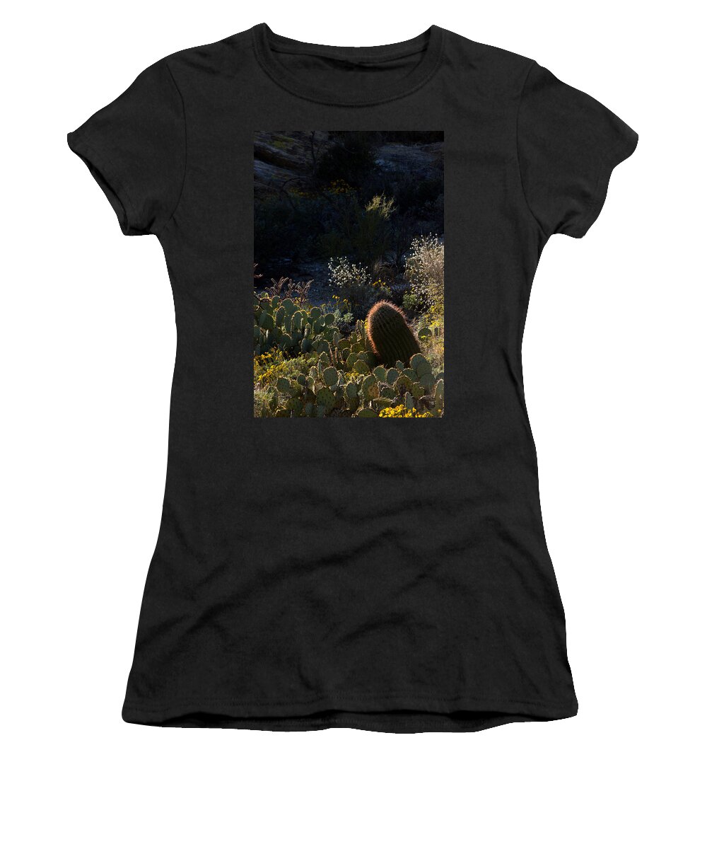 Cactus Women's T-Shirt featuring the photograph Bed of Cactus by Michael McGowan