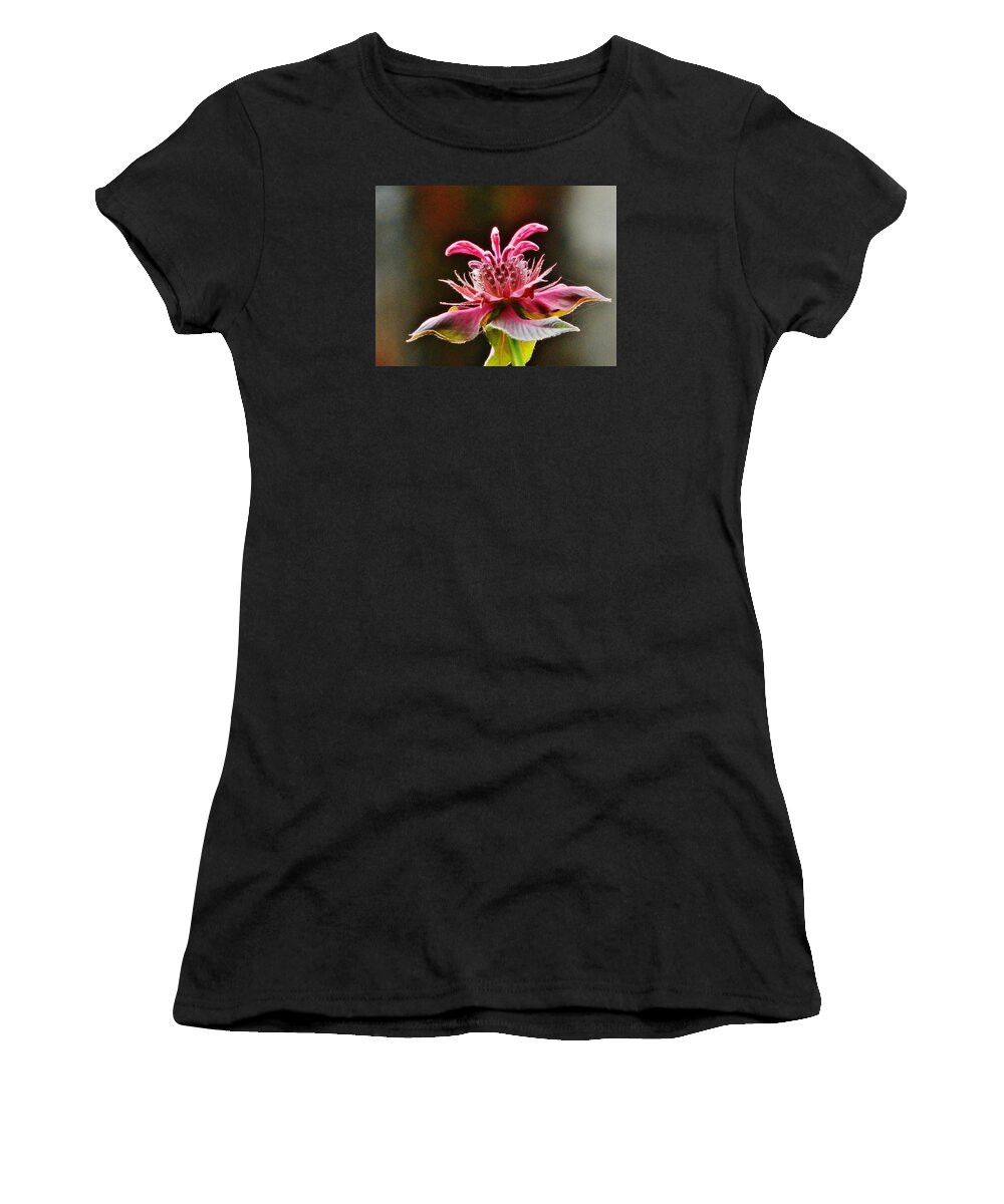 Flower Women's T-Shirt featuring the photograph Bee Balm's Beauty by VLee Watson