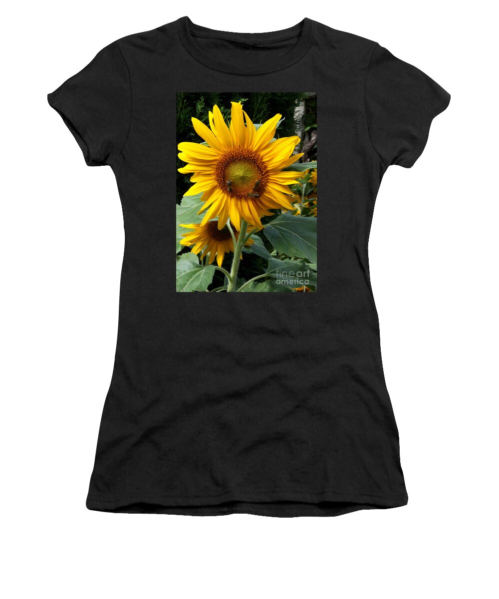 Bee Women's T-Shirt featuring the photograph Bee Feast On Sunflower by Christiane Schulze Art And Photography