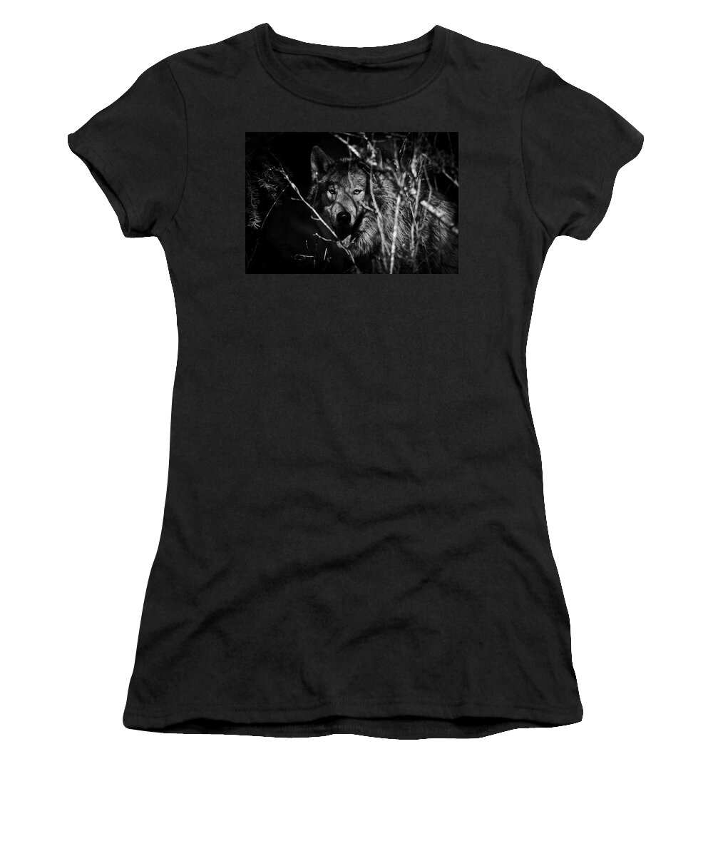 Beware The Woods Women's T-Shirt featuring the photograph Beware The Woods by Wes and Dotty Weber