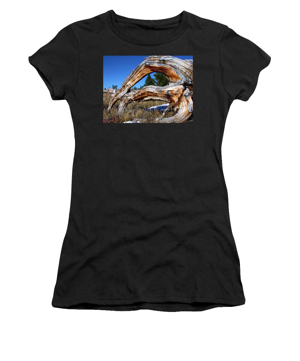 Tree Women's T-Shirt featuring the photograph Beyond Our Roots by Shane Bechler