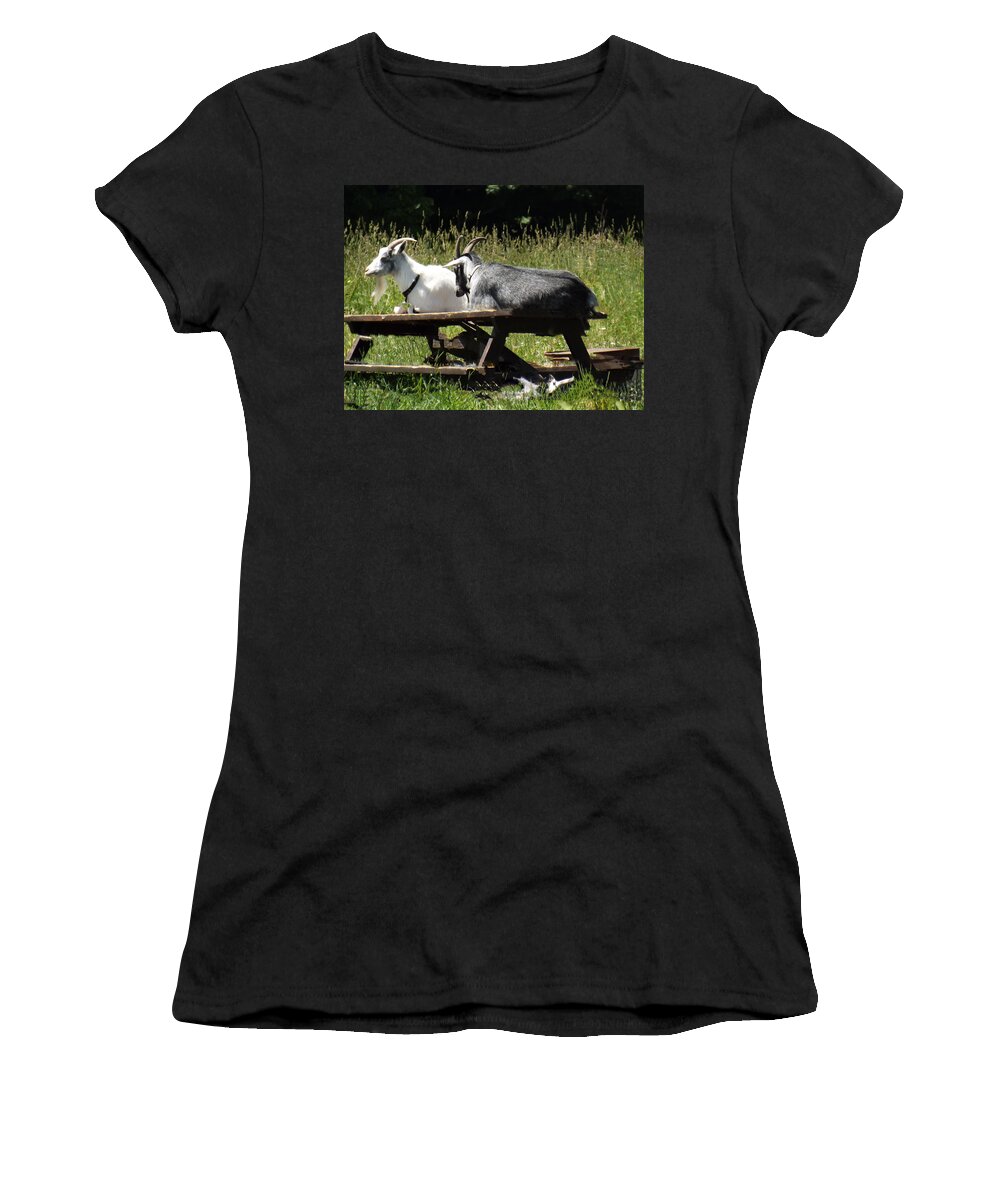 Billy Women's T-Shirt featuring the photograph Billy Goats Picnic by Brenda Brown