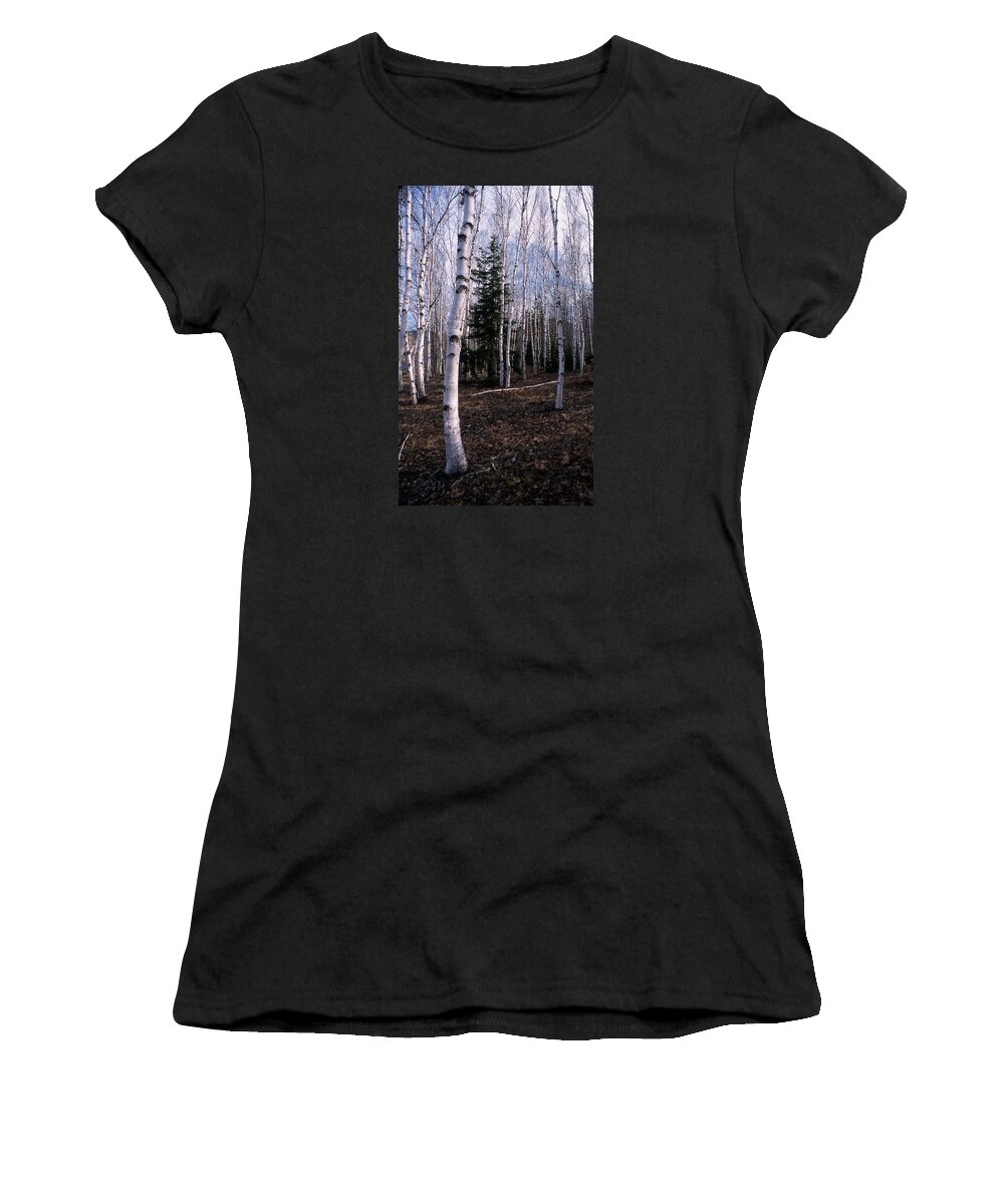 Tree Women's T-Shirt featuring the photograph Birches by Skip Willits