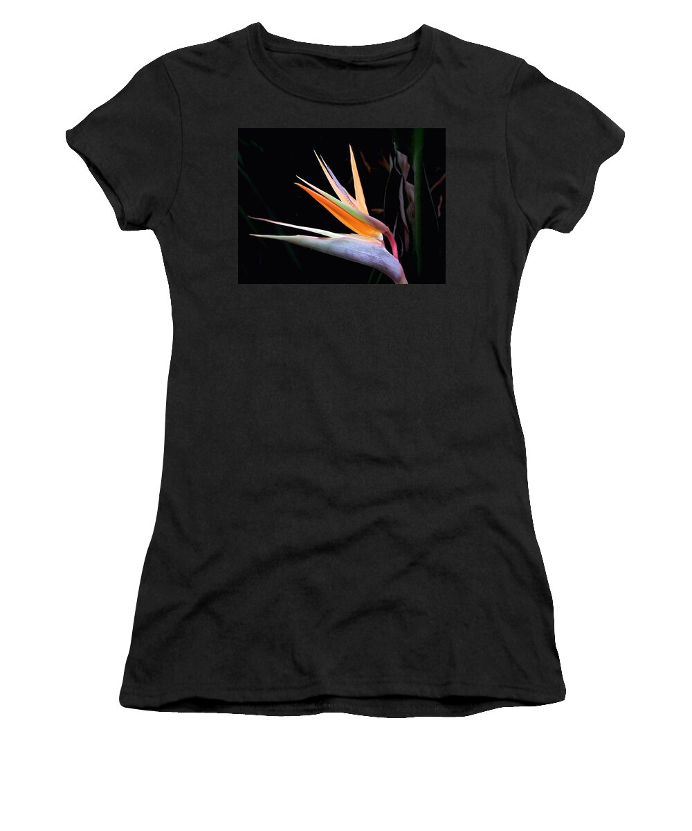 Bird Of Paradise Women's T-Shirt featuring the photograph Bird of Paradise by Steve Ondrus
