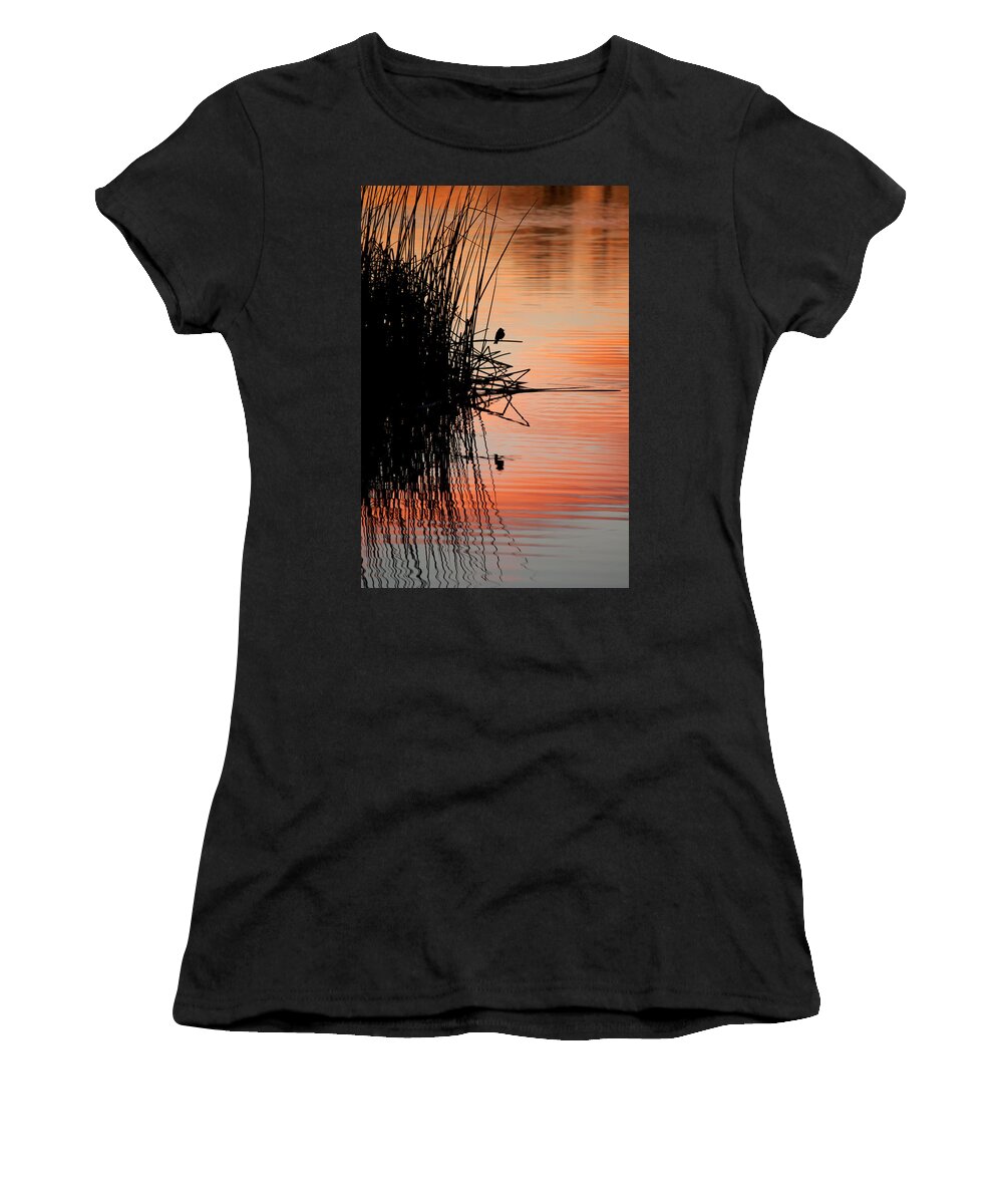 Bird Women's T-Shirt featuring the photograph Bird Silhouette by Lisa Chorny